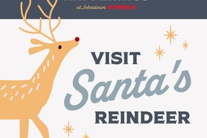 Meet LIVE Reindeer!